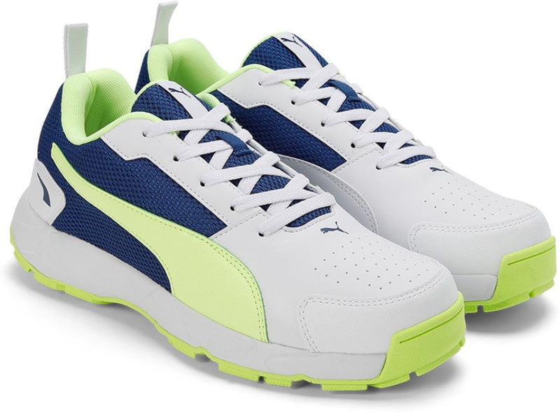 Load image into Gallery viewer, Puma Highrun Cricket Shoes

