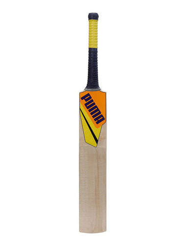 Puma Chennai City Kashmir Willow Cricket Bat