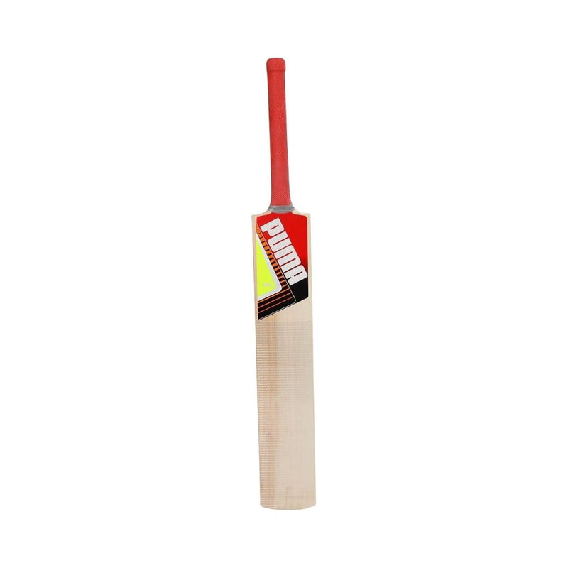 Load image into Gallery viewer, Puma Future STB Bat 1.1 Kashmir Willow Cricket Bat (BOGO)