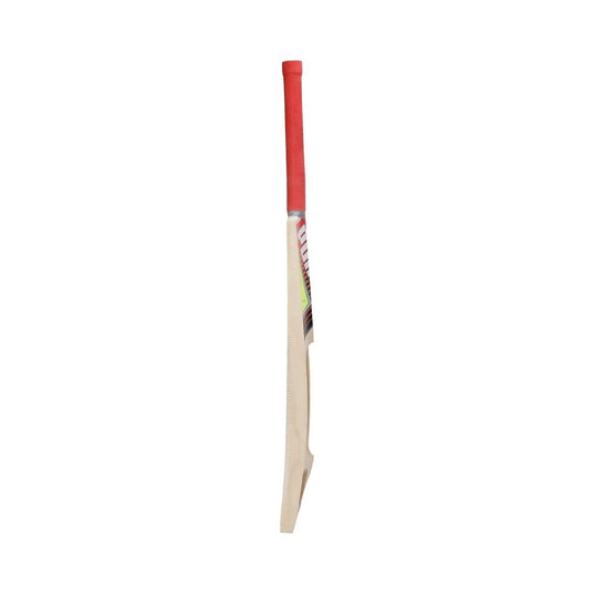 Puma Future STB Bat 1.1 Kashmir Willow Cricket Bat (BOGO)