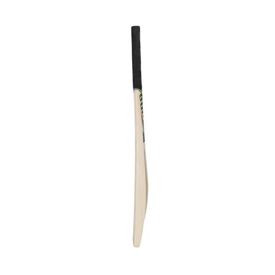 Puma Future STB 2.1 Kashmir Willow Cricket Bat (BOGO)