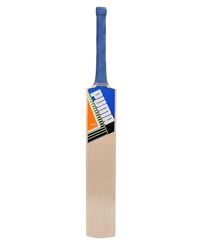 Puma Future STB Kashmir Willow Cricket Bat