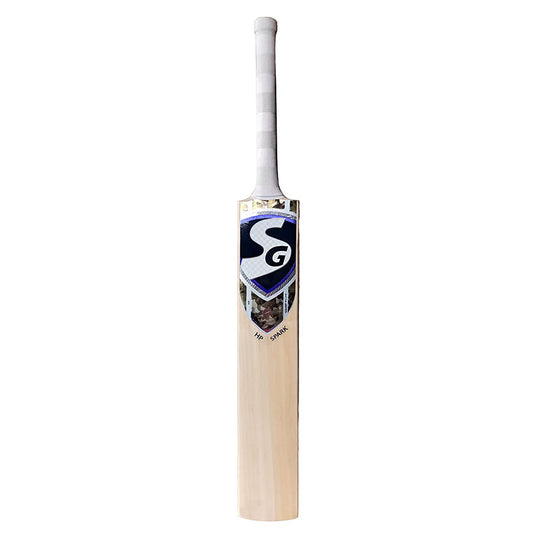 SG HP Pro Kashmir Willow Cricket Bat