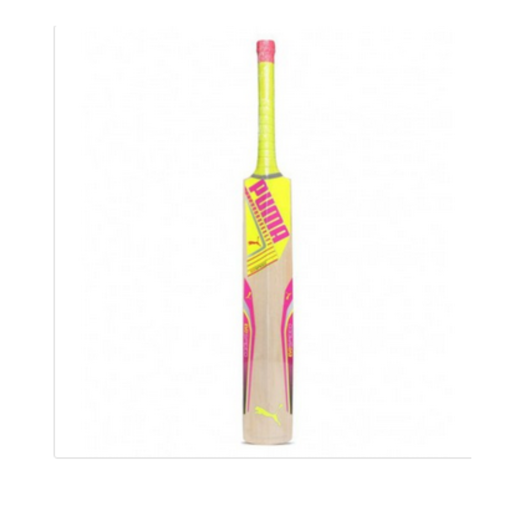 Puma Evospeed Tricks 1y Kashmir Willow Cricket Bat