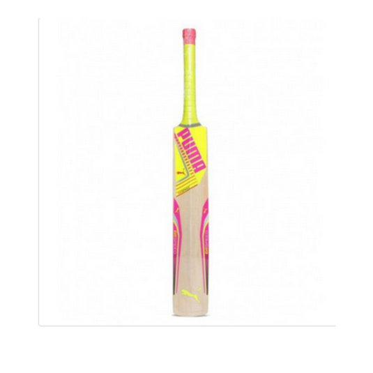 Puma Evospeed Tricks 1y Kashmir Willow Cricket Bat