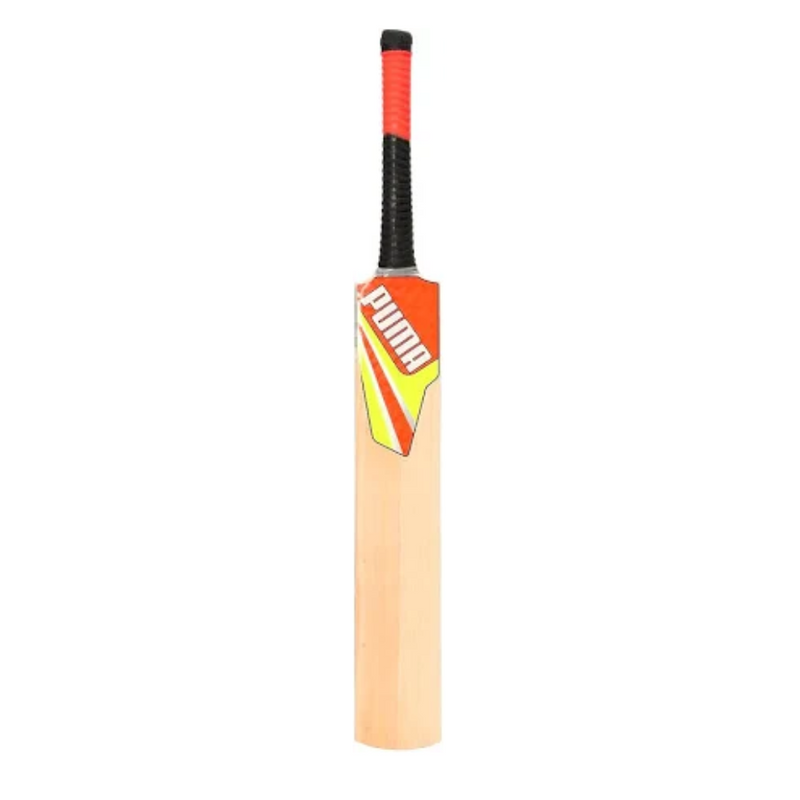 Load image into Gallery viewer, Puma Future 2.0 Cricket Bat