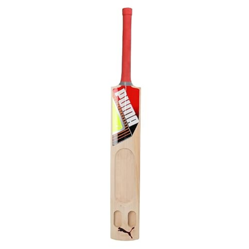 Load image into Gallery viewer, Puma Future STB 1.1 Kashmir Willow Cricket Bat