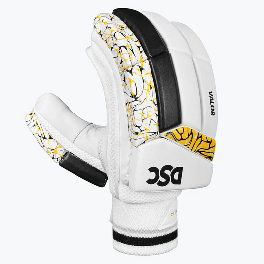 DSC Valor 2024 Cricket Batting Gloves