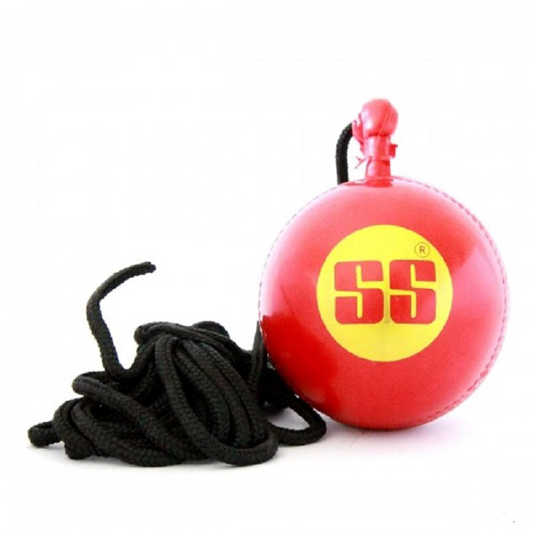 SS Hanging Cricket Ball