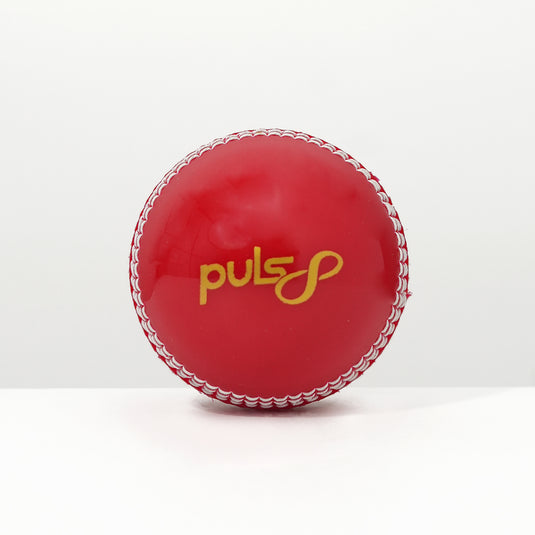 Puls8 Incredible Cricket Ball