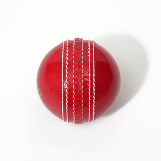 Puls8 Incredible Cricket Ball