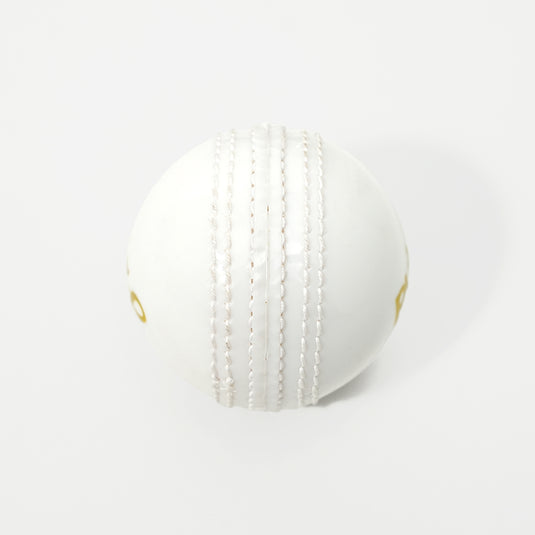 Puls8 Incredible Cricket Ball