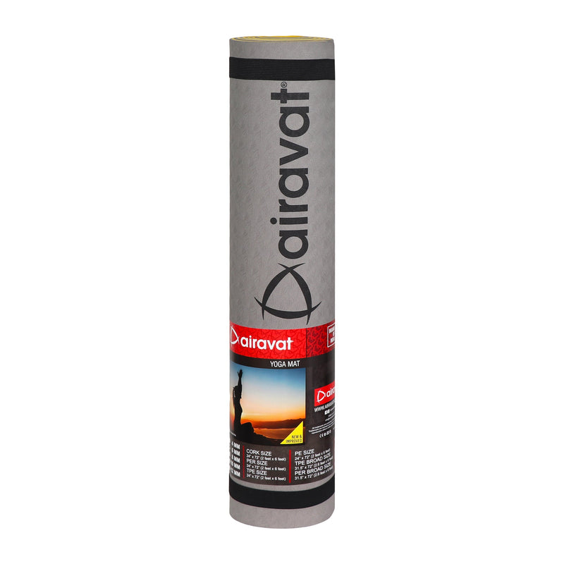 Load image into Gallery viewer, Airavat 6MM 2 Tone TPE  Yoga Mat