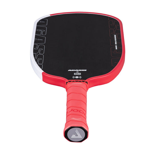 Joola Andre Agassi Pro Pickleball Paddle