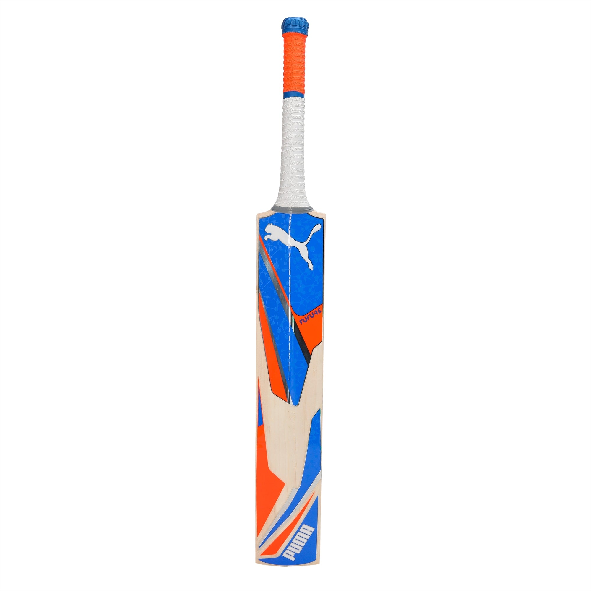 Puma Future 1.2 JNR Kashmir Willow Cricket Bat
