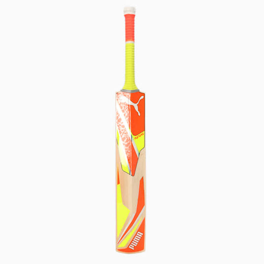 Puma Future 3.1 English Willow Cricket Bat