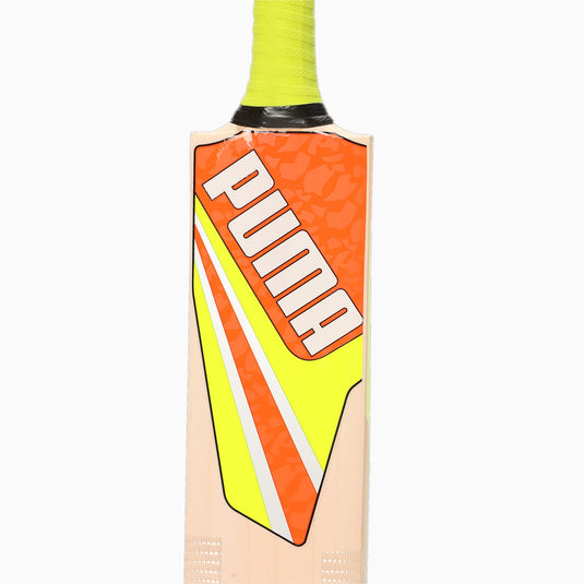 Puma Future 8.1 English Willow Cricket Bat