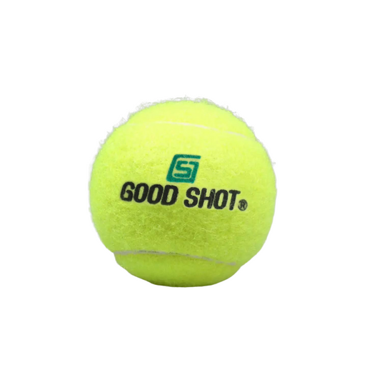 Good Shot Heavy Cricket Ball