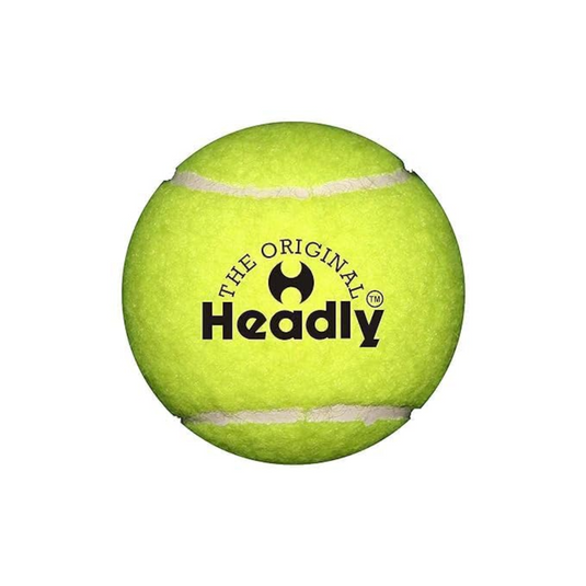 Headley Heavy Weight Cricket Ball