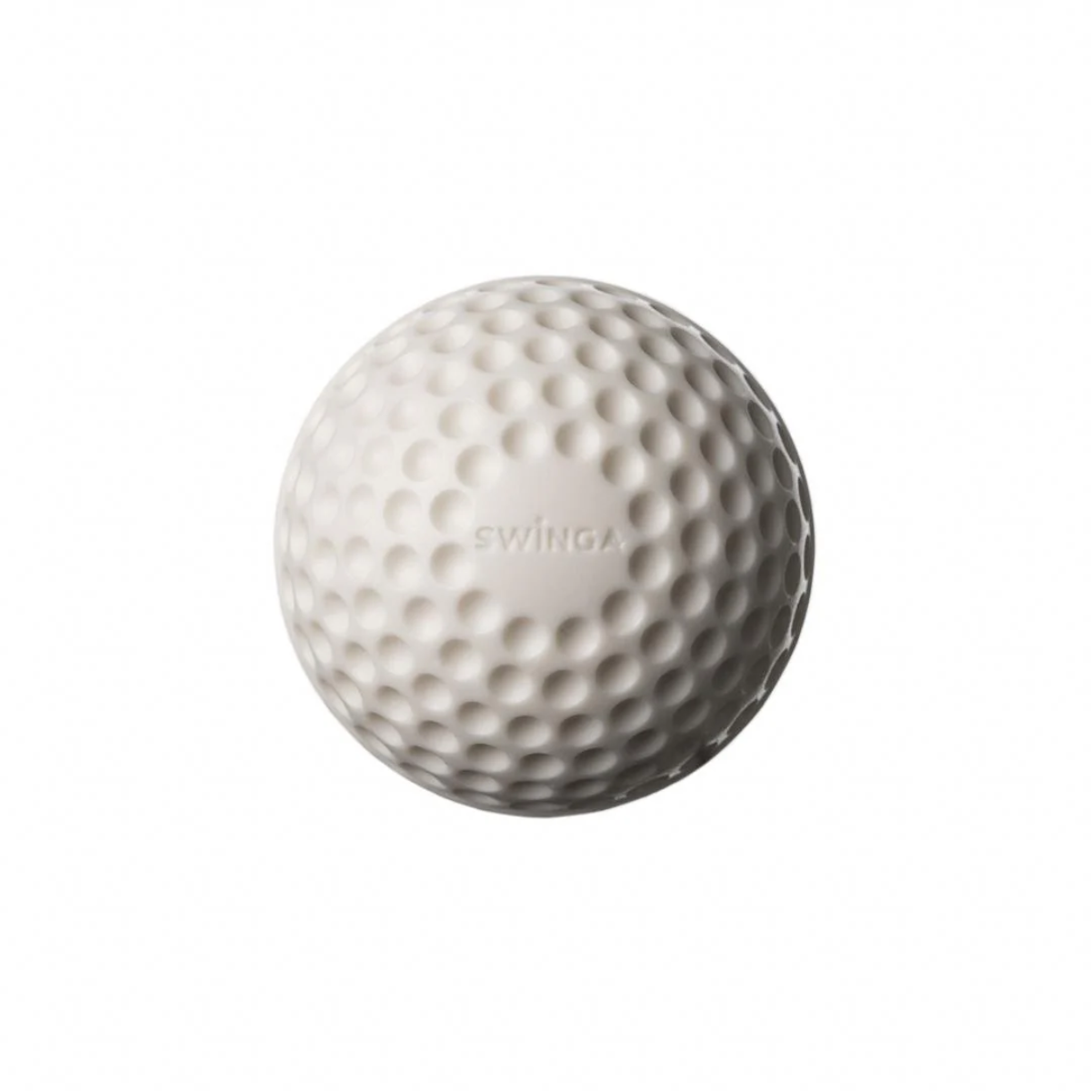 SG Swinga White Cricket Ball