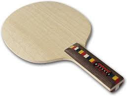 Donic Waldner All Play Table Tennis Ply