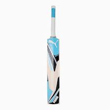 Load image into Gallery viewer, Puma Future 3.0 Kashmir Willow Cricket Bat
