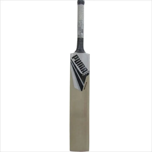 Puma Future 20.25 Kashmir Willow Cricket Bat