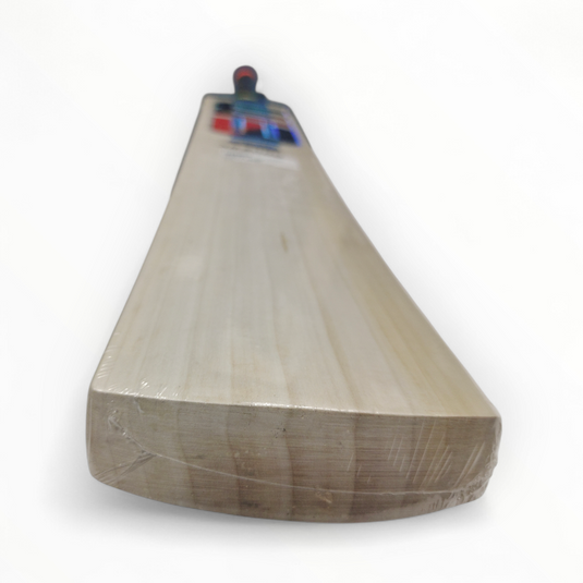 EM GT XR-5000 English Willow Cricket Bat