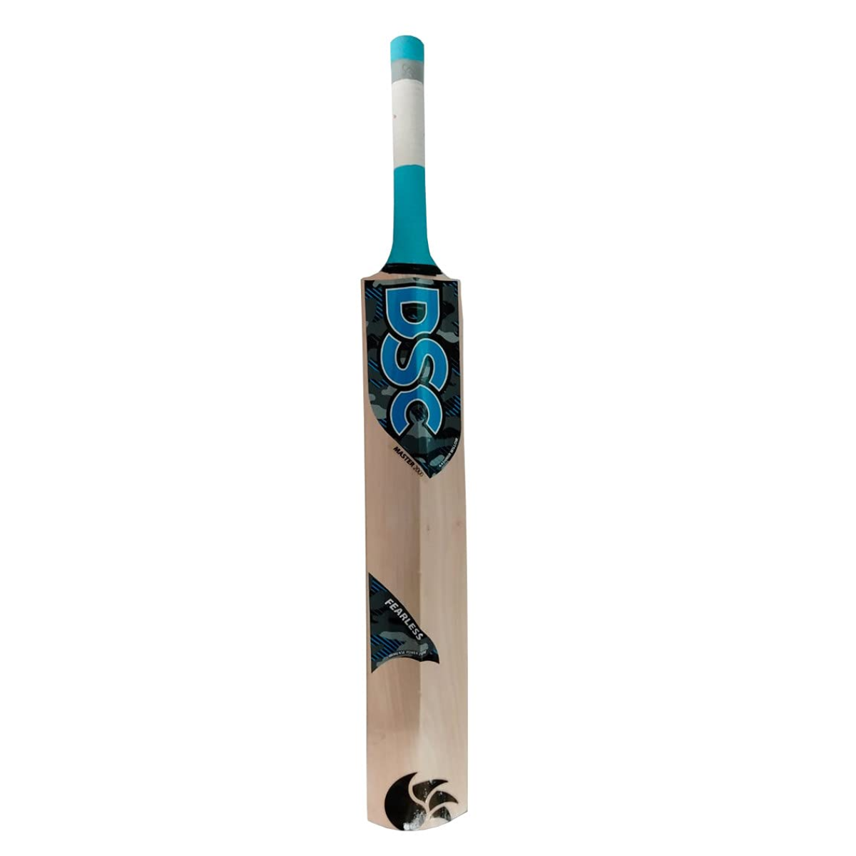 DSC Master 2000 Kashmir Willow Cricket Bat