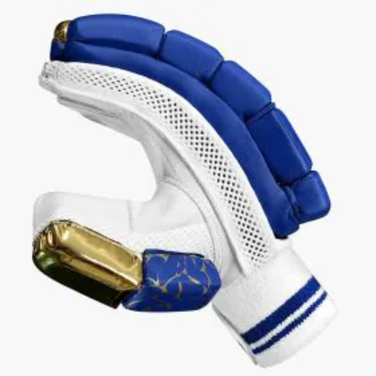 DSC Strike 20/20 Cricket Batting Gloves