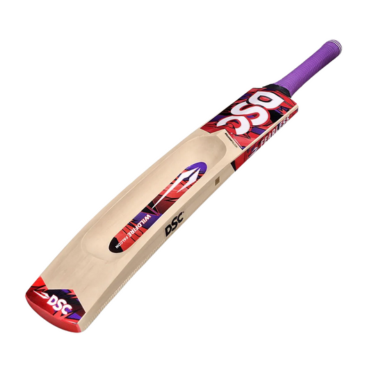 DSC Wildfire Falcon Kashmir Willow Cricket Bat