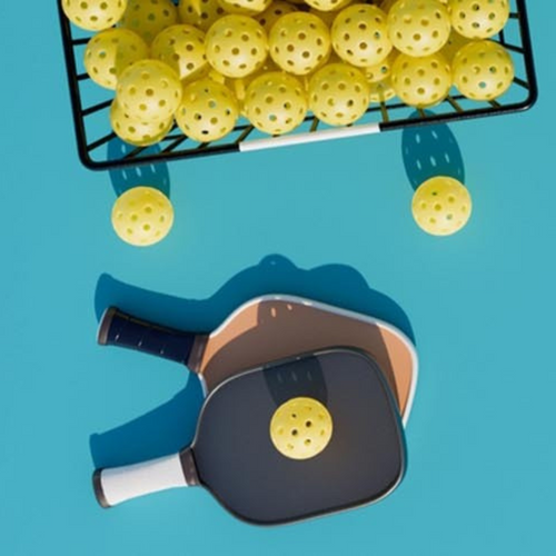 How to Choose the Perfect Pickleball Paddle for Beginners