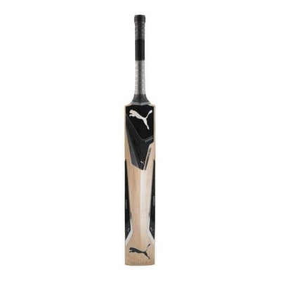 Puma Evopower 1 Kashmir Willow Cricket  Bat