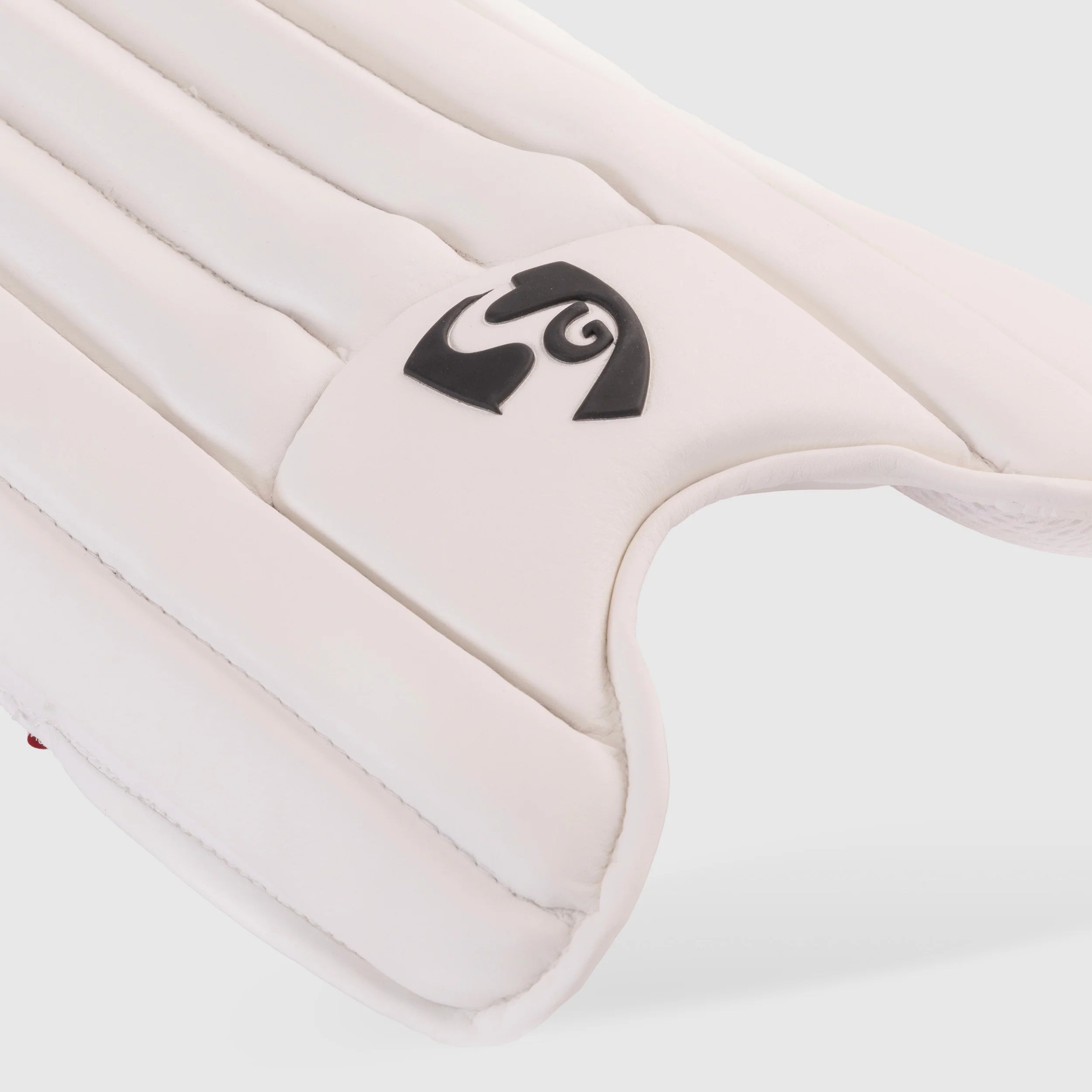 SG Test Cricket Batting Pads