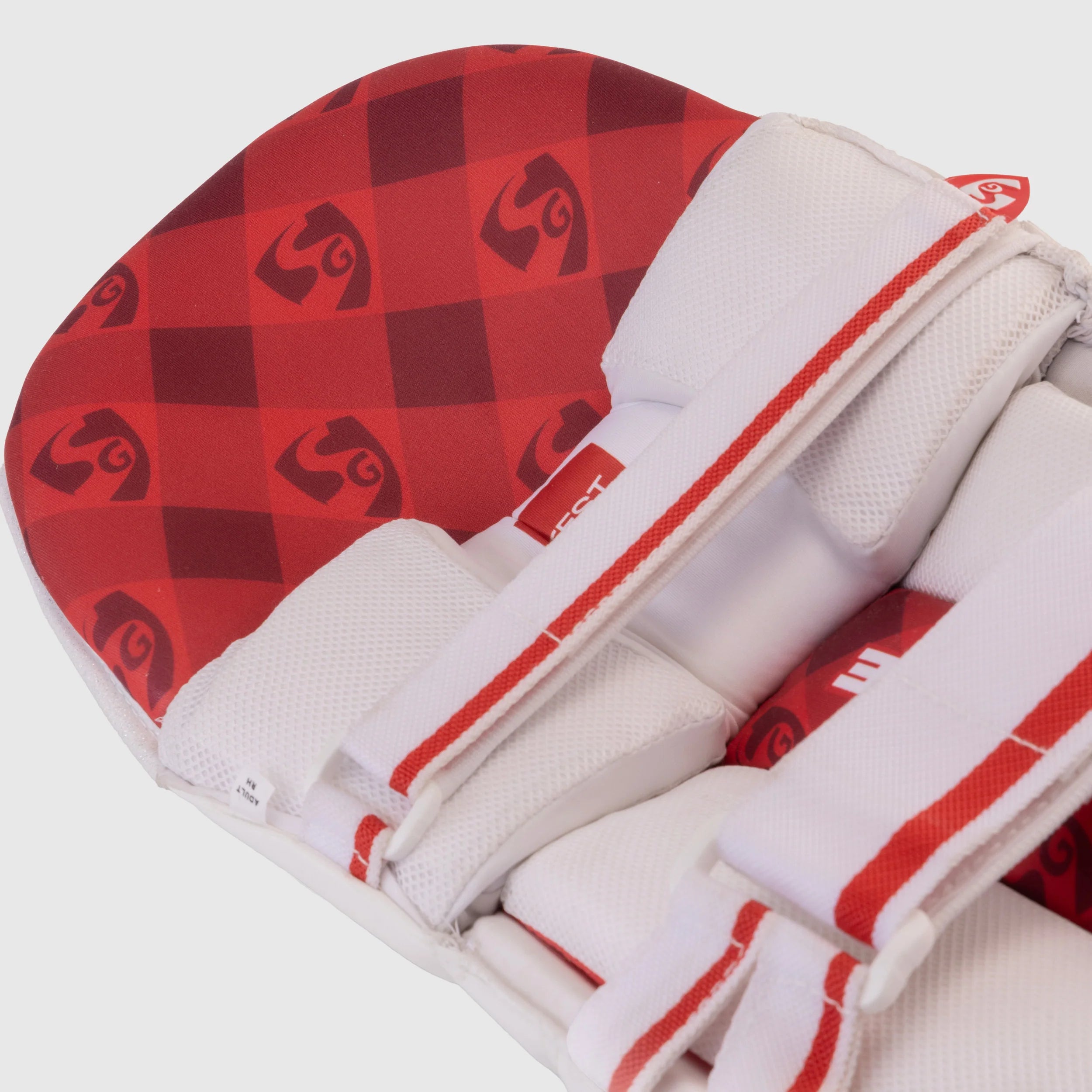 SG Test Cricket Batting Pads
