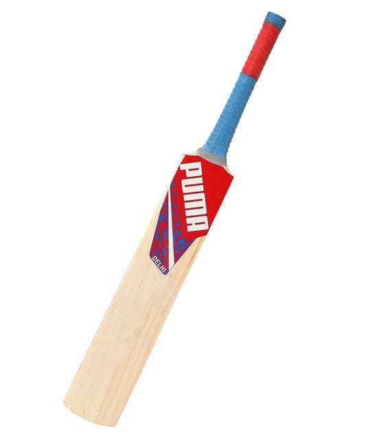 Load image into Gallery viewer, Puma Delhi JNR City Kashmir Willow Cricket Bat
