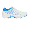 Puma Spike 22.1 Cricket Shoes