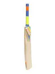 Puma Evospeed 2500 English Willow Cricket Bat