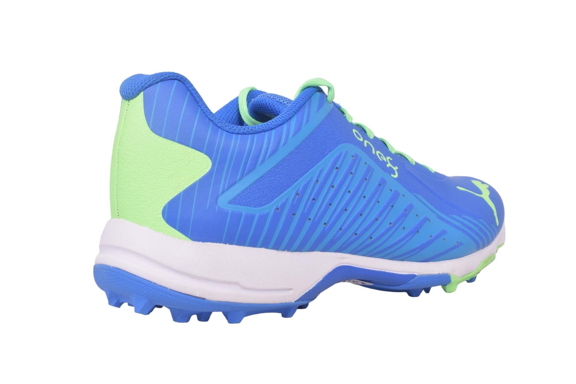 Puma 22 FH Rubber VK Cricket Shoes