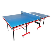Precise Samrat Championship Table Tennis Table