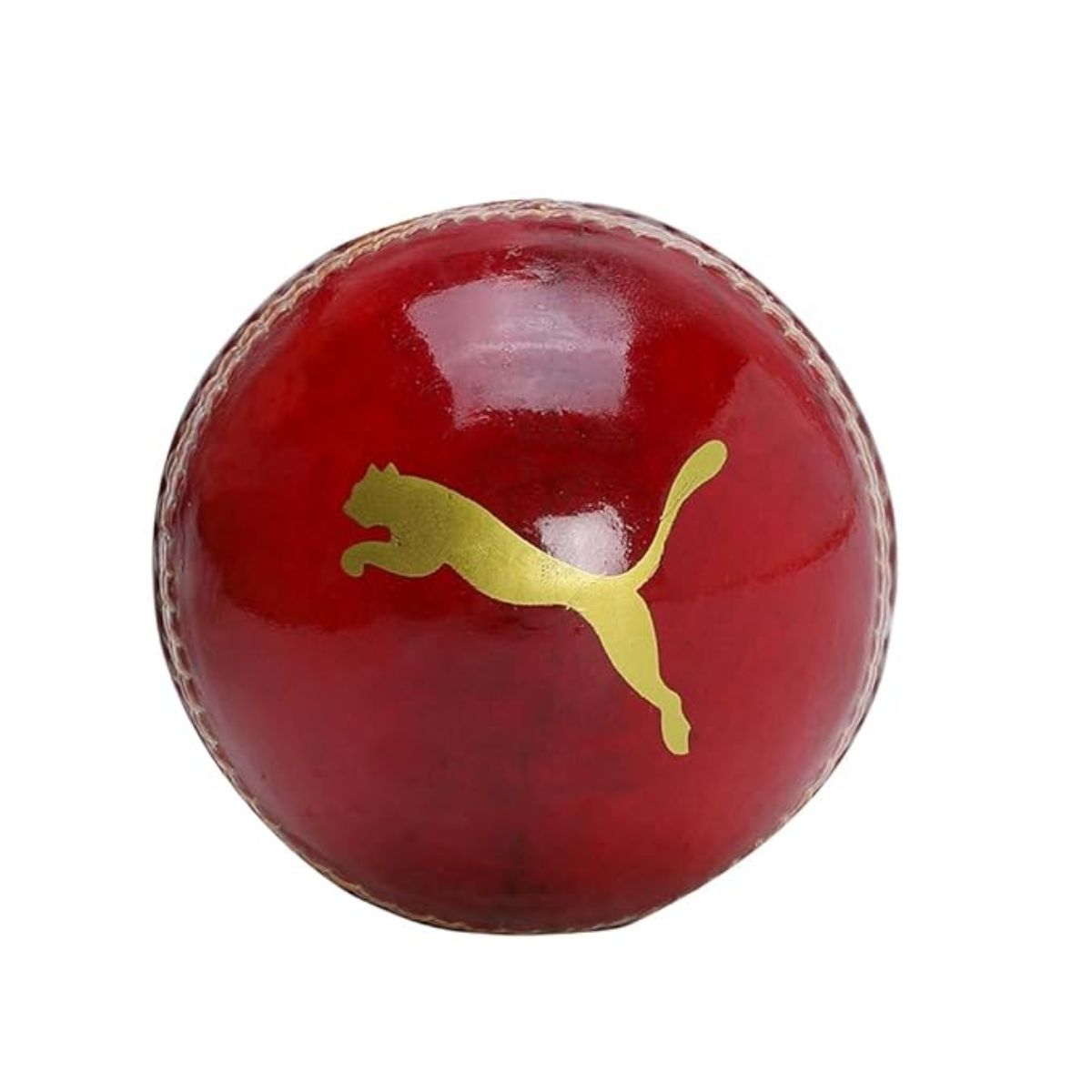 Puma Cricket Ball