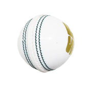 SF Pro Soft Cricket Ball