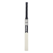 SS Middler Kashmir Willow Cricket Bat