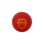 SG Everlast Cricket Ball