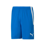 Puma Team Liga Shorts