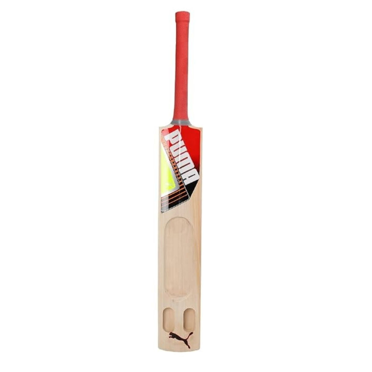 Puma Future STB 1.1 Kashmir Willow Cricket Bat