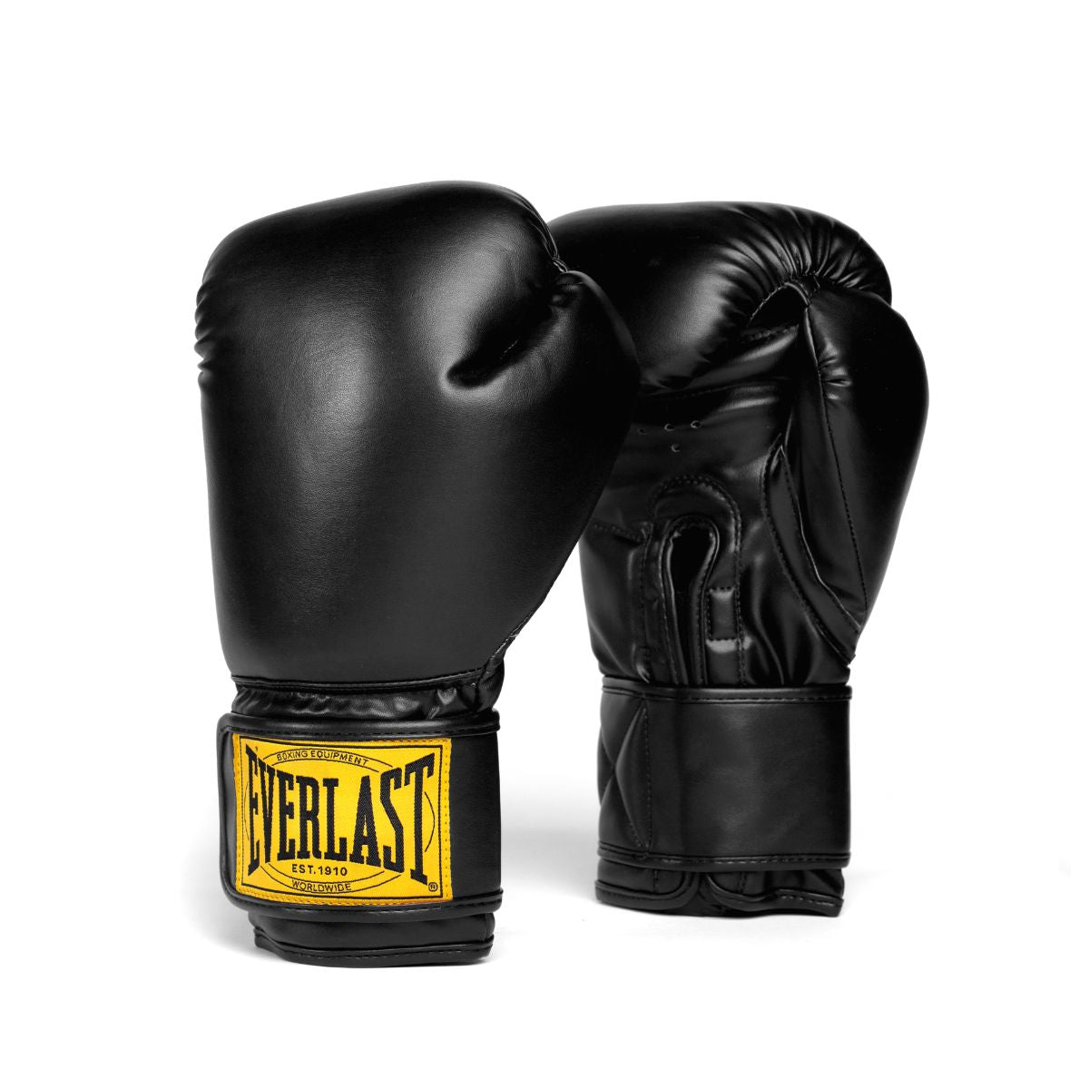 Everlast 1910 Classic Boxing Gloves