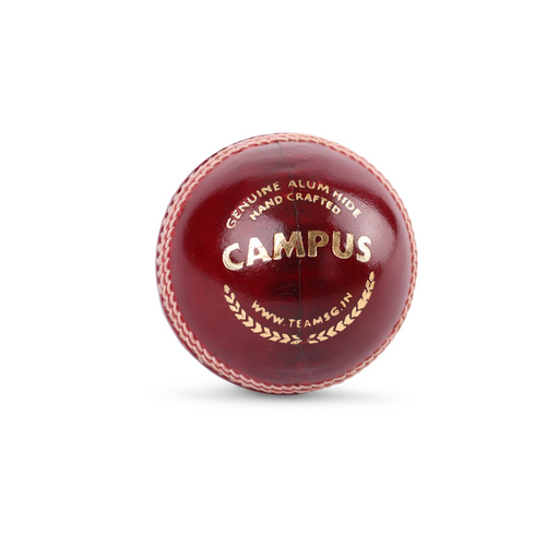 SG Campus Cricket Ball
