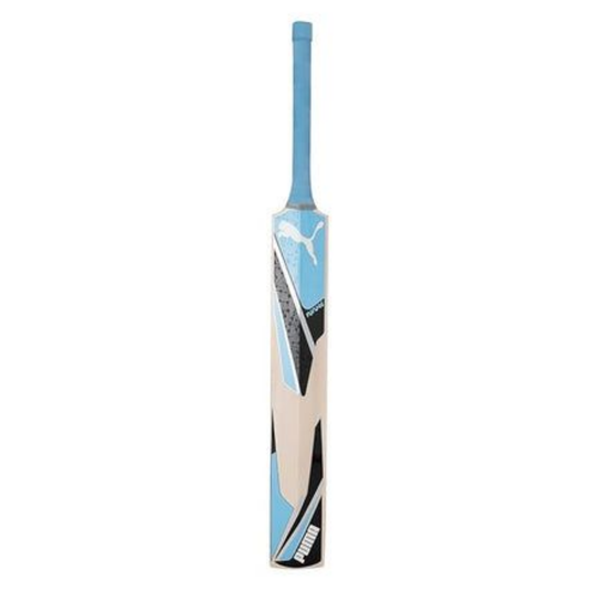 Puma Future 20.1 Starter Cricket Set