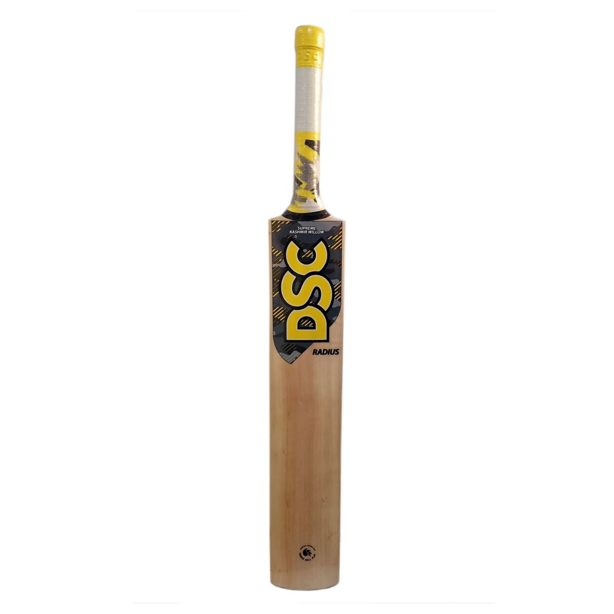 DSC Radius Kashmir Willow Cricket Bat